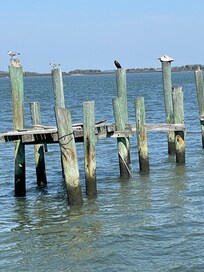 Harbor at Fernandina Beach was busy!