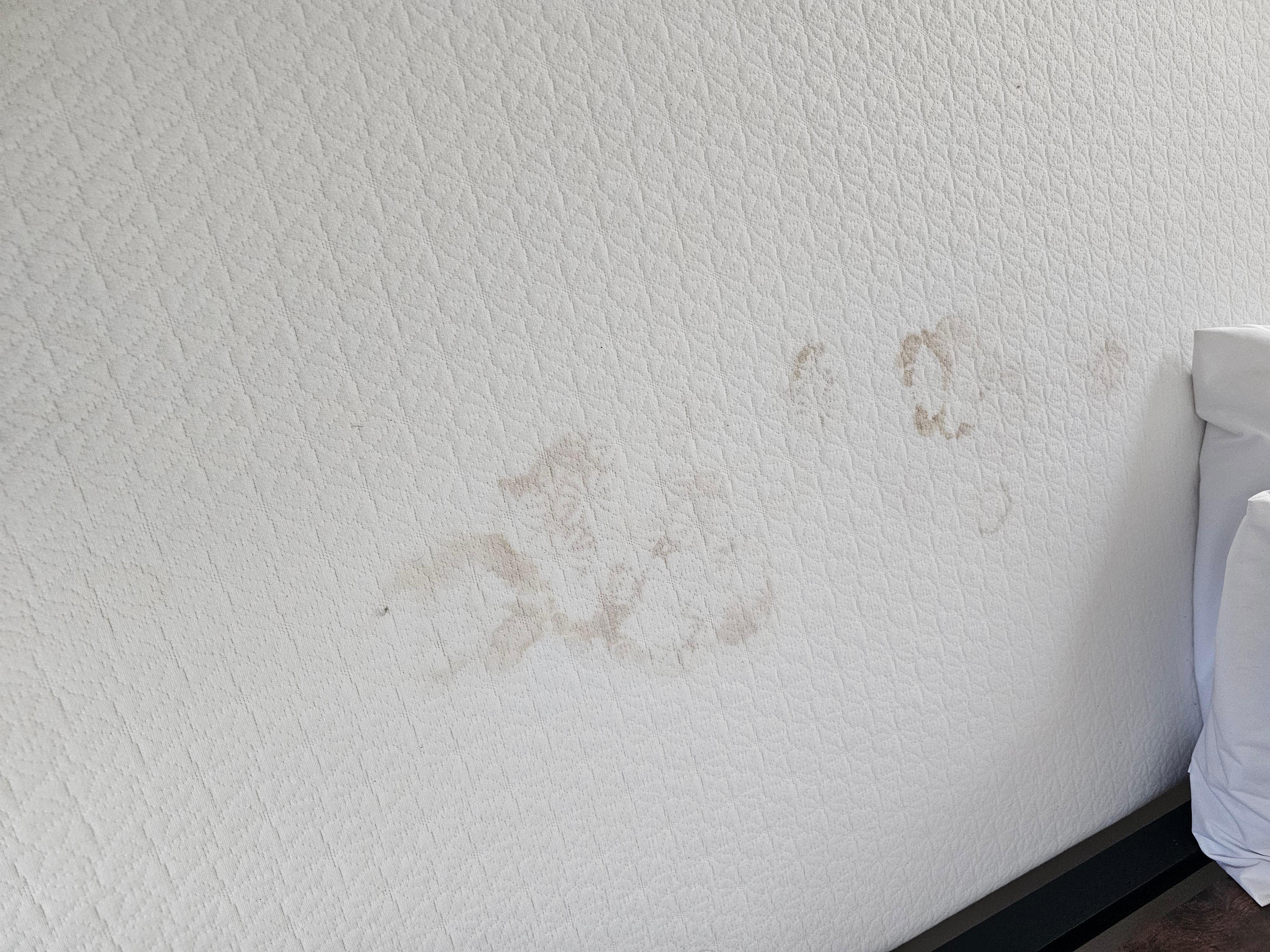 Stained Master Bedroom Mattress, yuck!