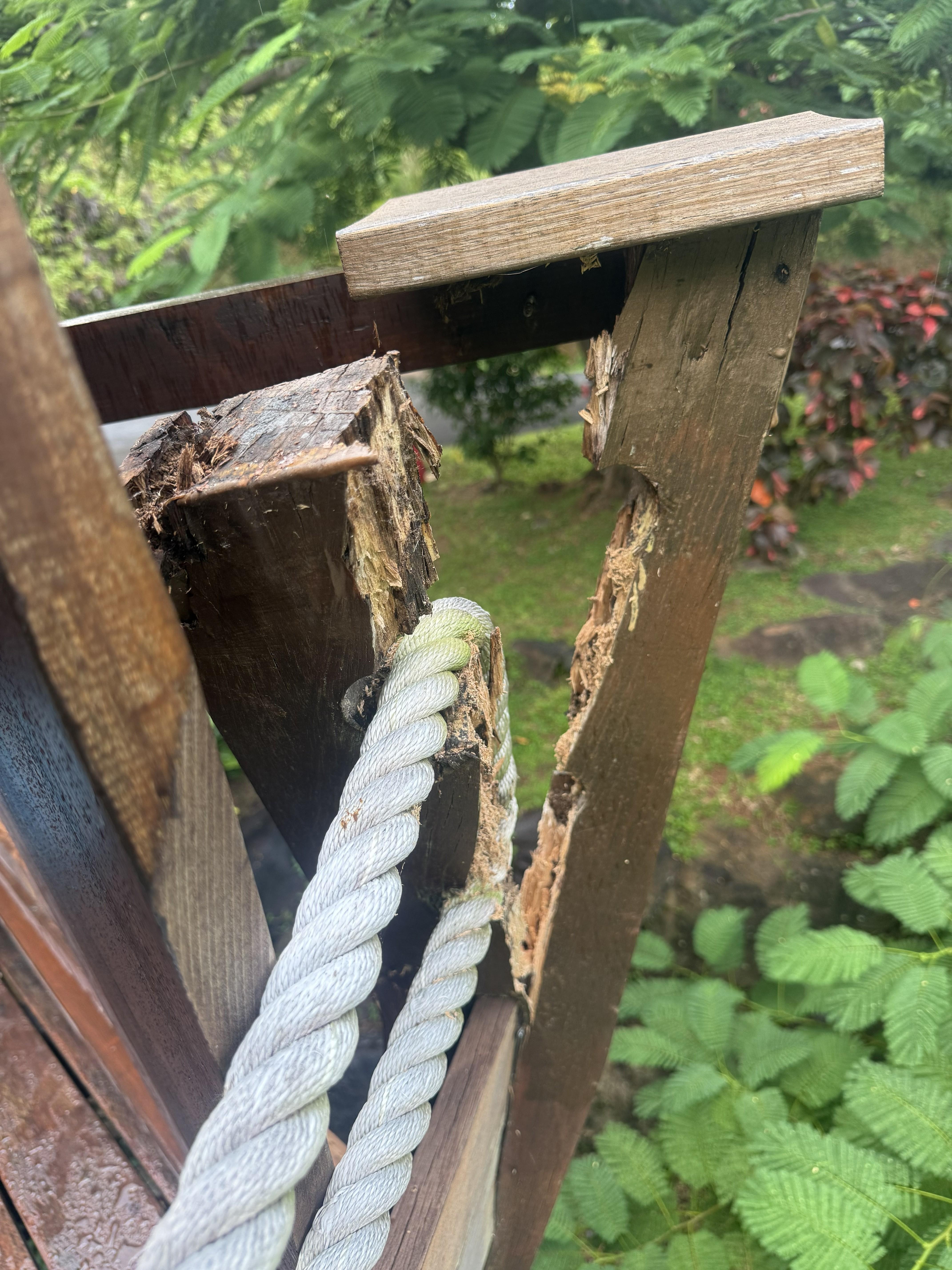 The carpenter bee damaged deck guard rail