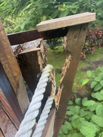 The carpenter bee damaged deck guard rail
