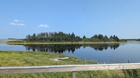 View from the back porch