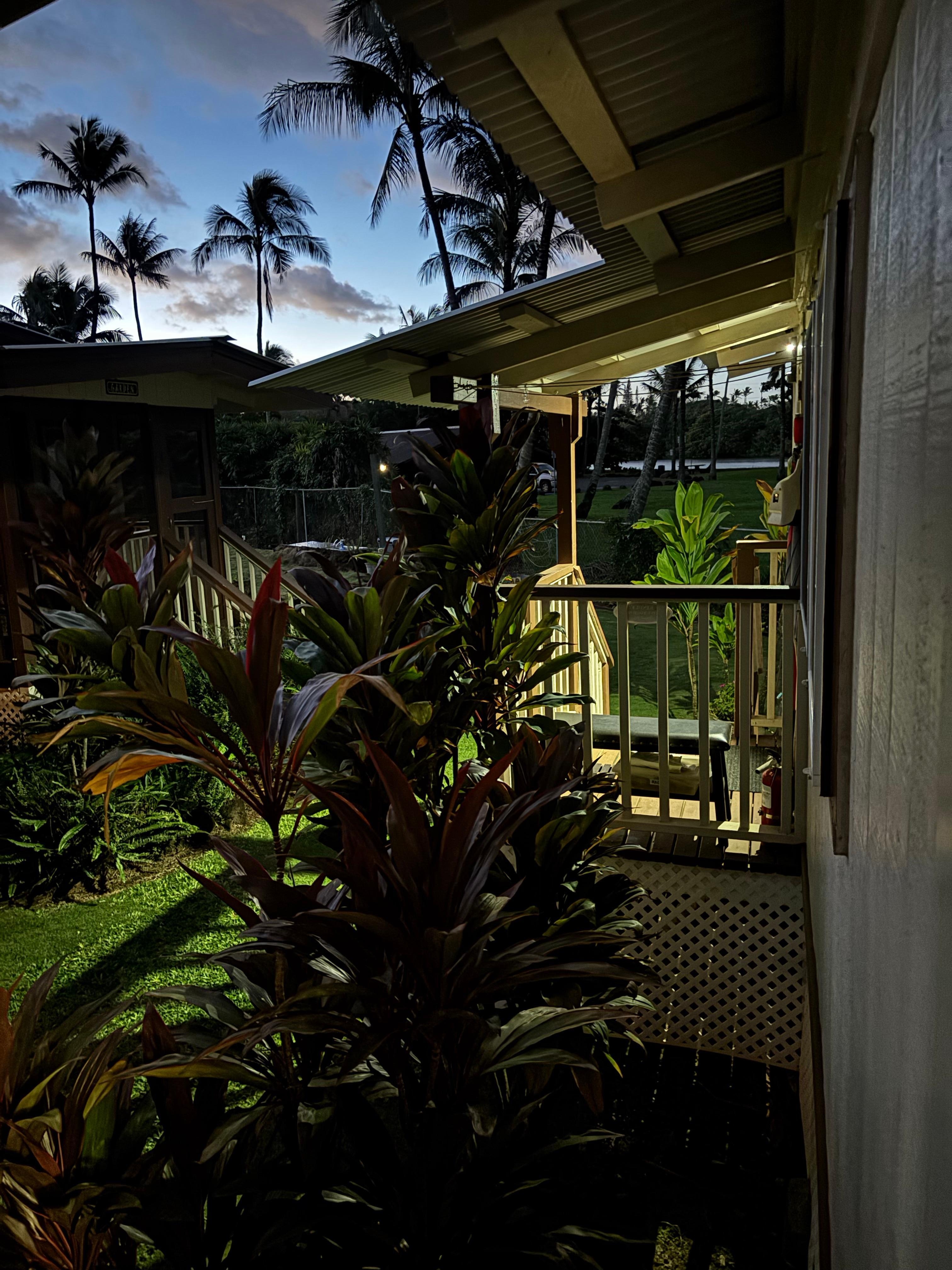 Early morning from the porch.