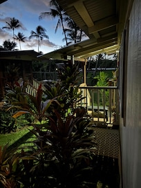 Early morning from the porch.