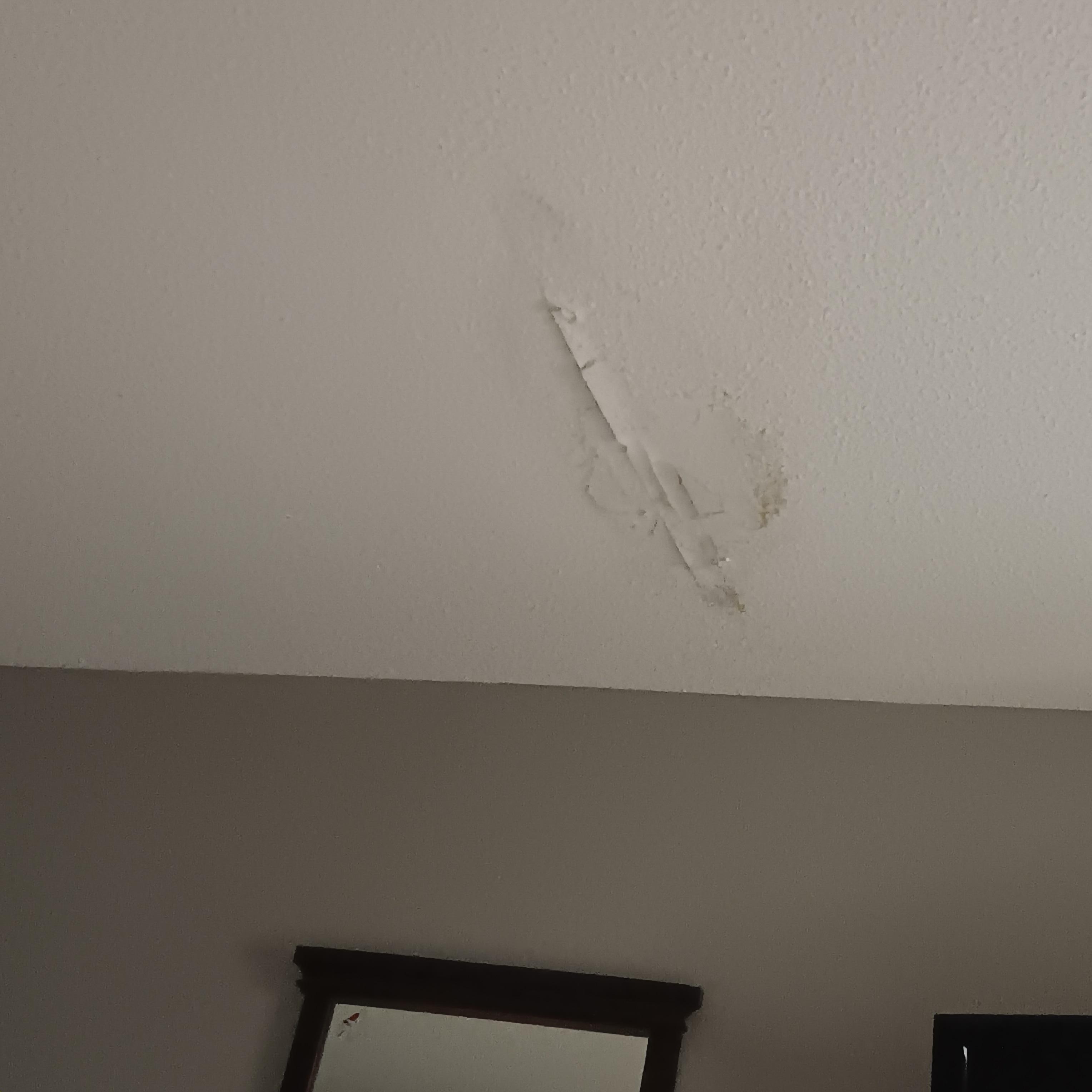 Leaky ceiling, potential mold