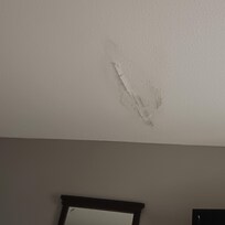 Leaky ceiling, potential mold