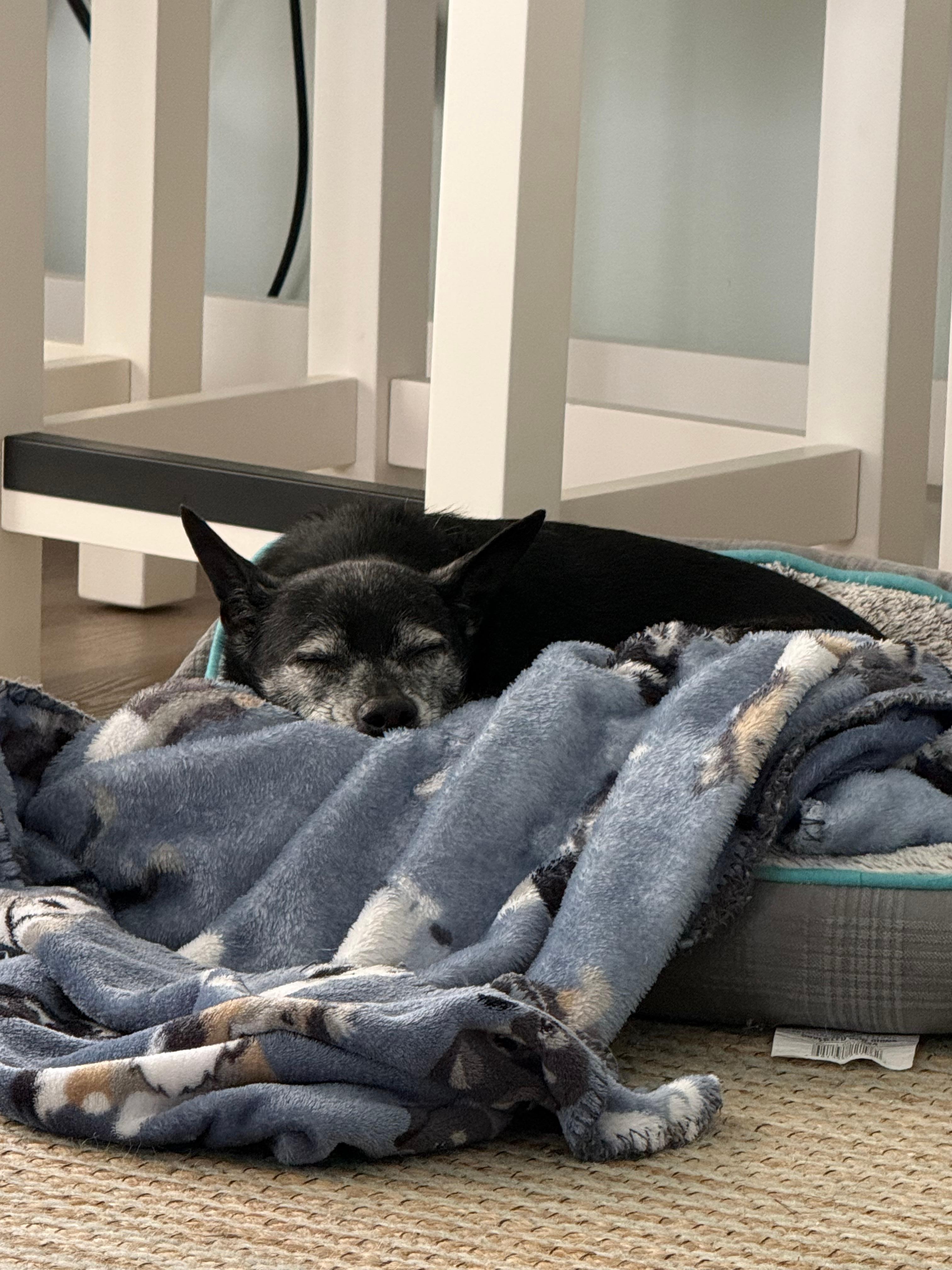 Accommodations for all family members 