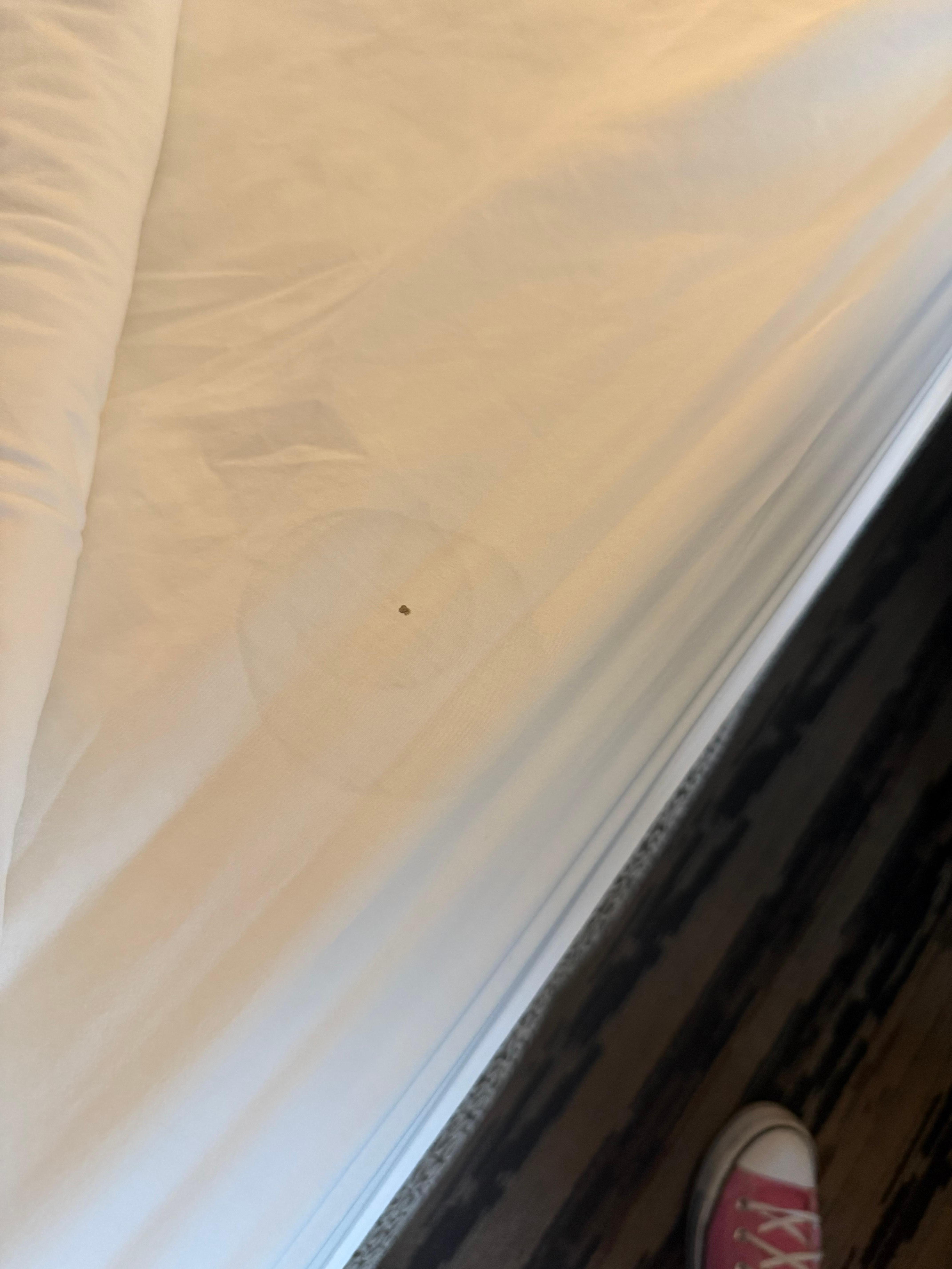 stain on the bed sheet 