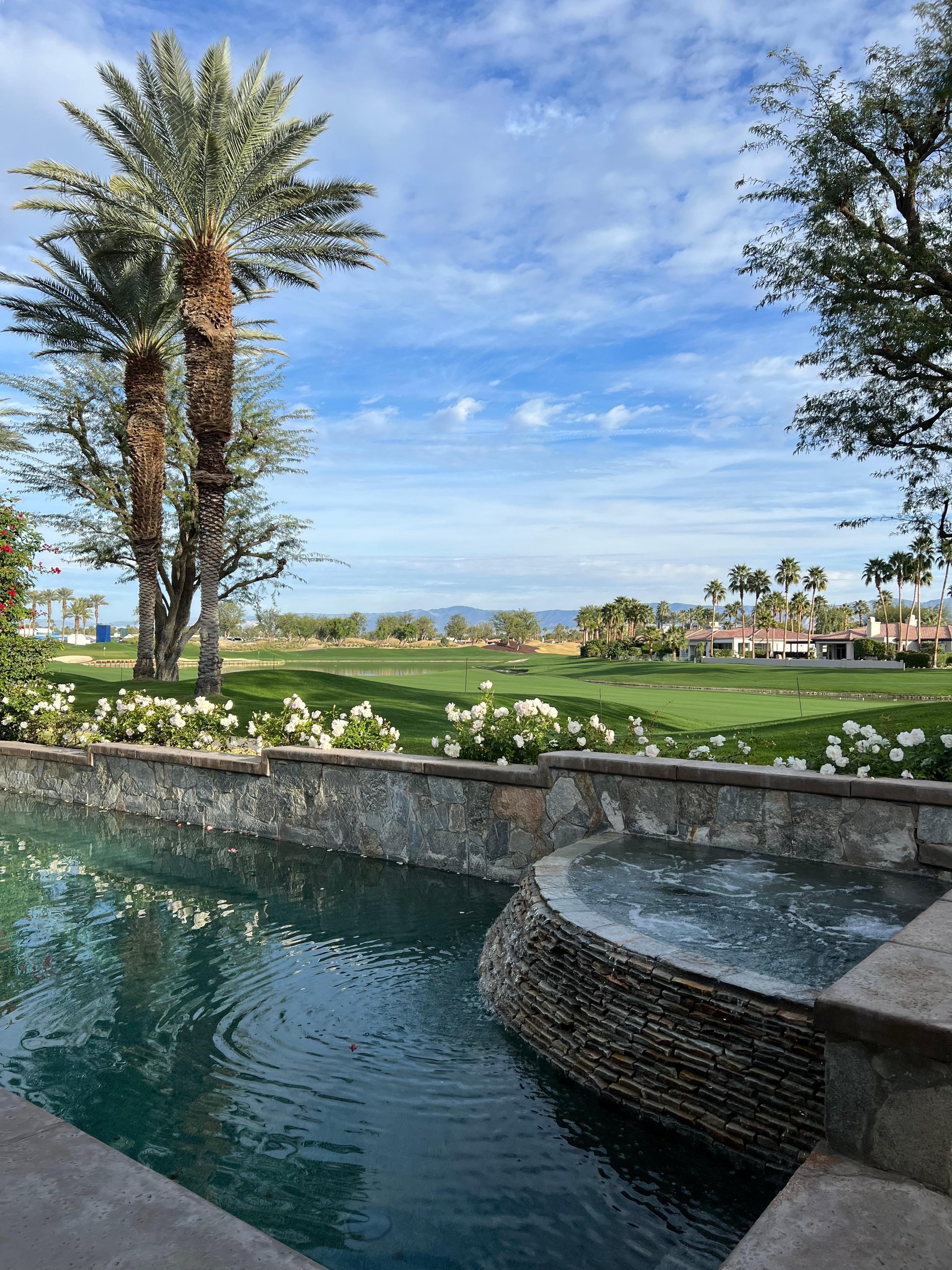 There is nowhere to sit in the sun by the pool in this backyard. The areas where you can fit a lounge chair are always in the shade.