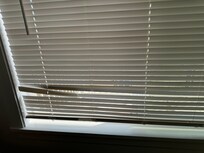 More broken blinds