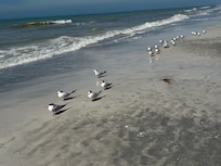 Plenty of birds to see