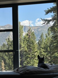 Amazing view from the day bed where I worked from each day.