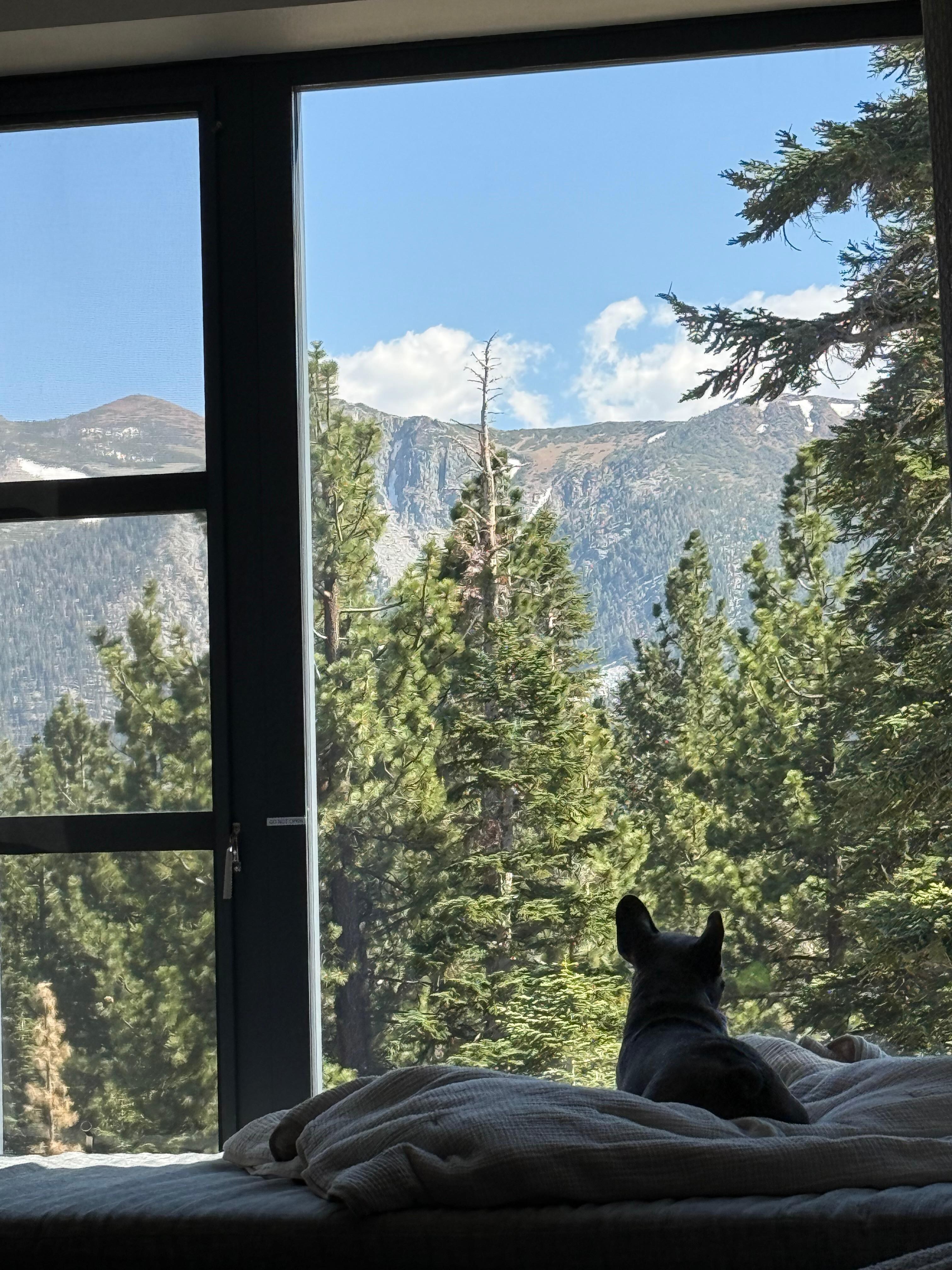 Amazing view from the day bed where I worked from each day. 