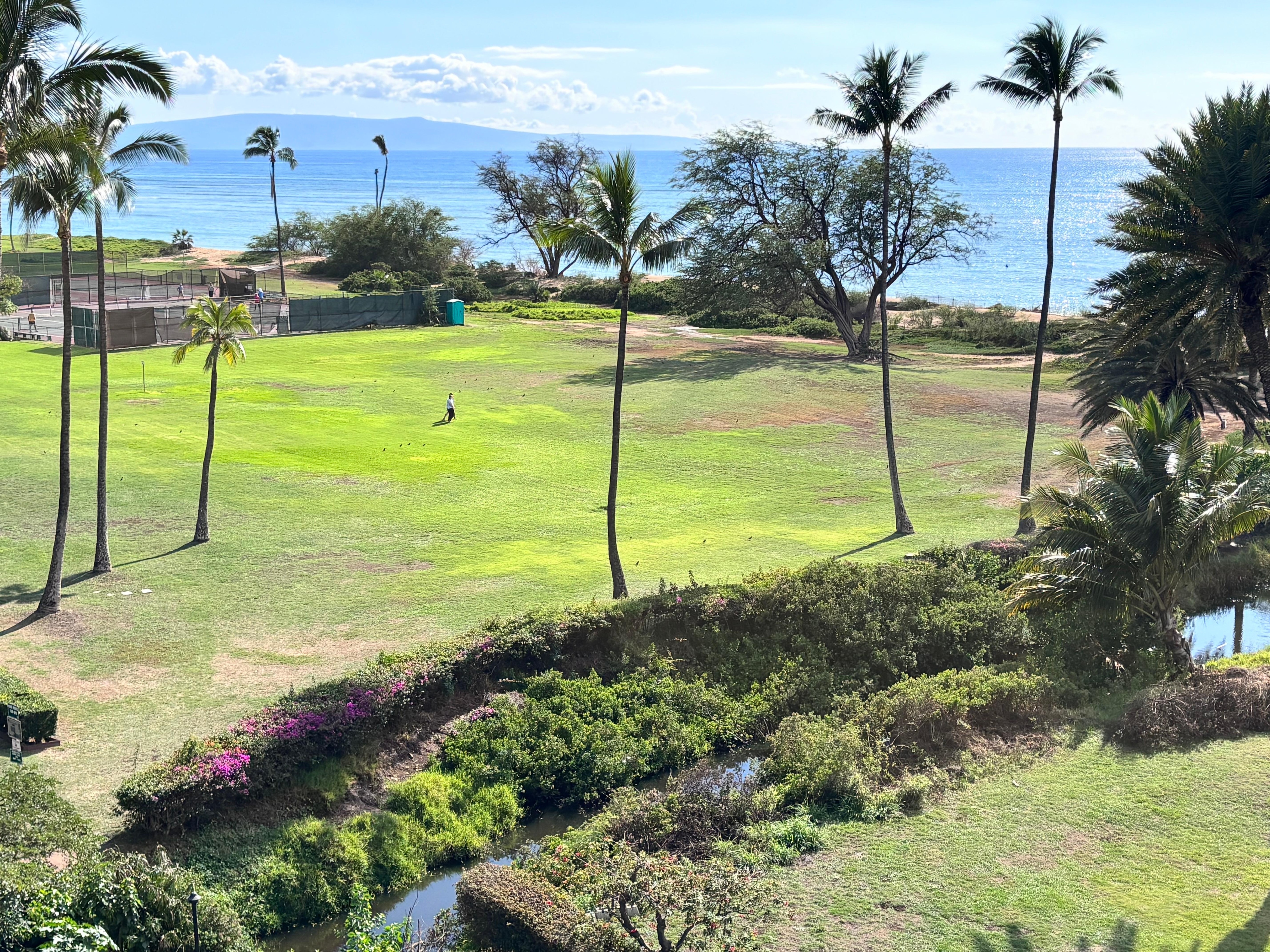 View from the balcony of the apartment. 