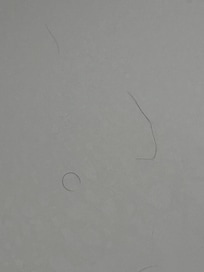 More hairs in tub