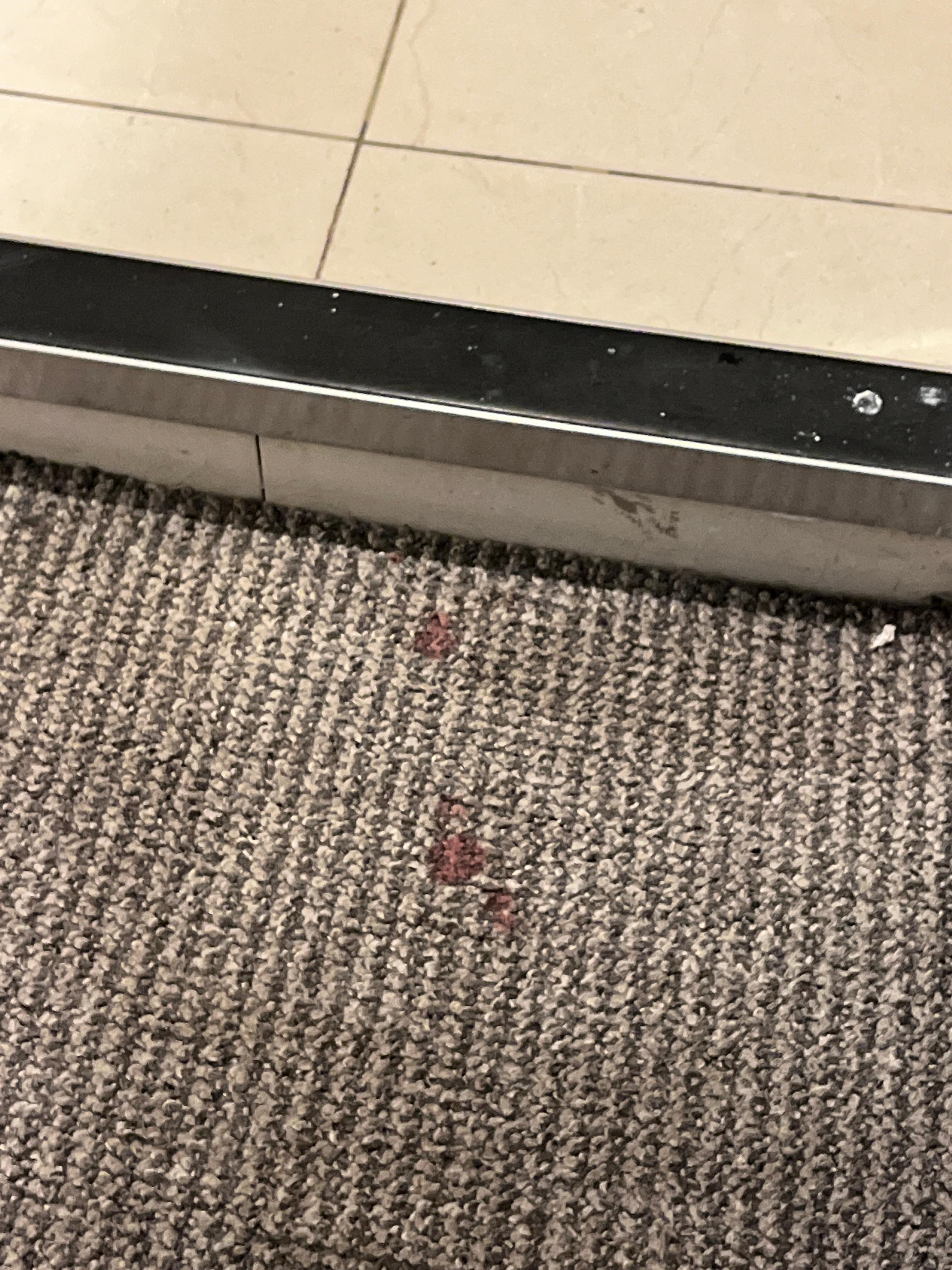 macchie di sangue nella moquette
