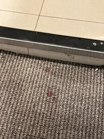 macchie di sangue nella moquette