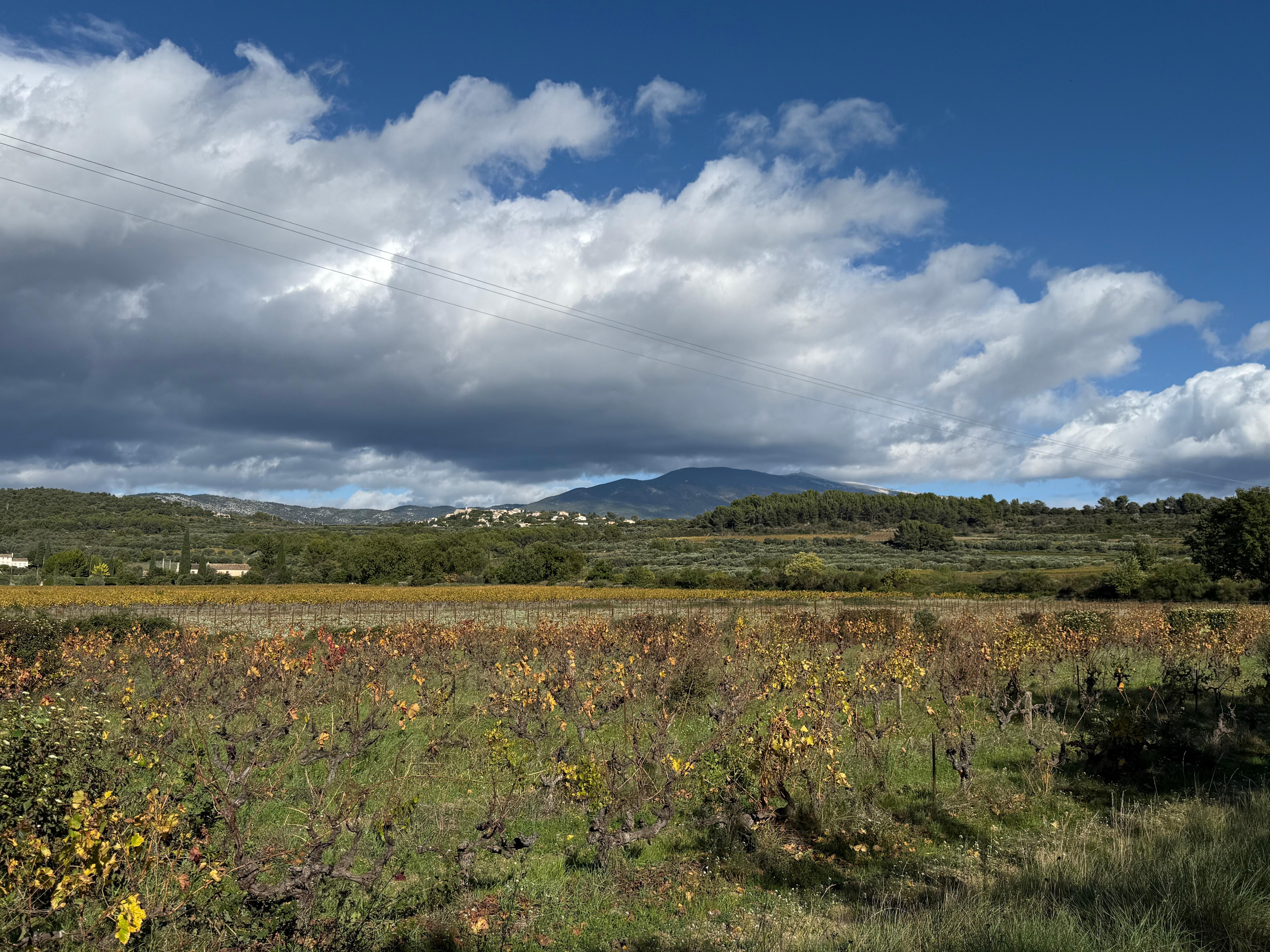 Blick auf Mont Ventoux während einer Wanderung