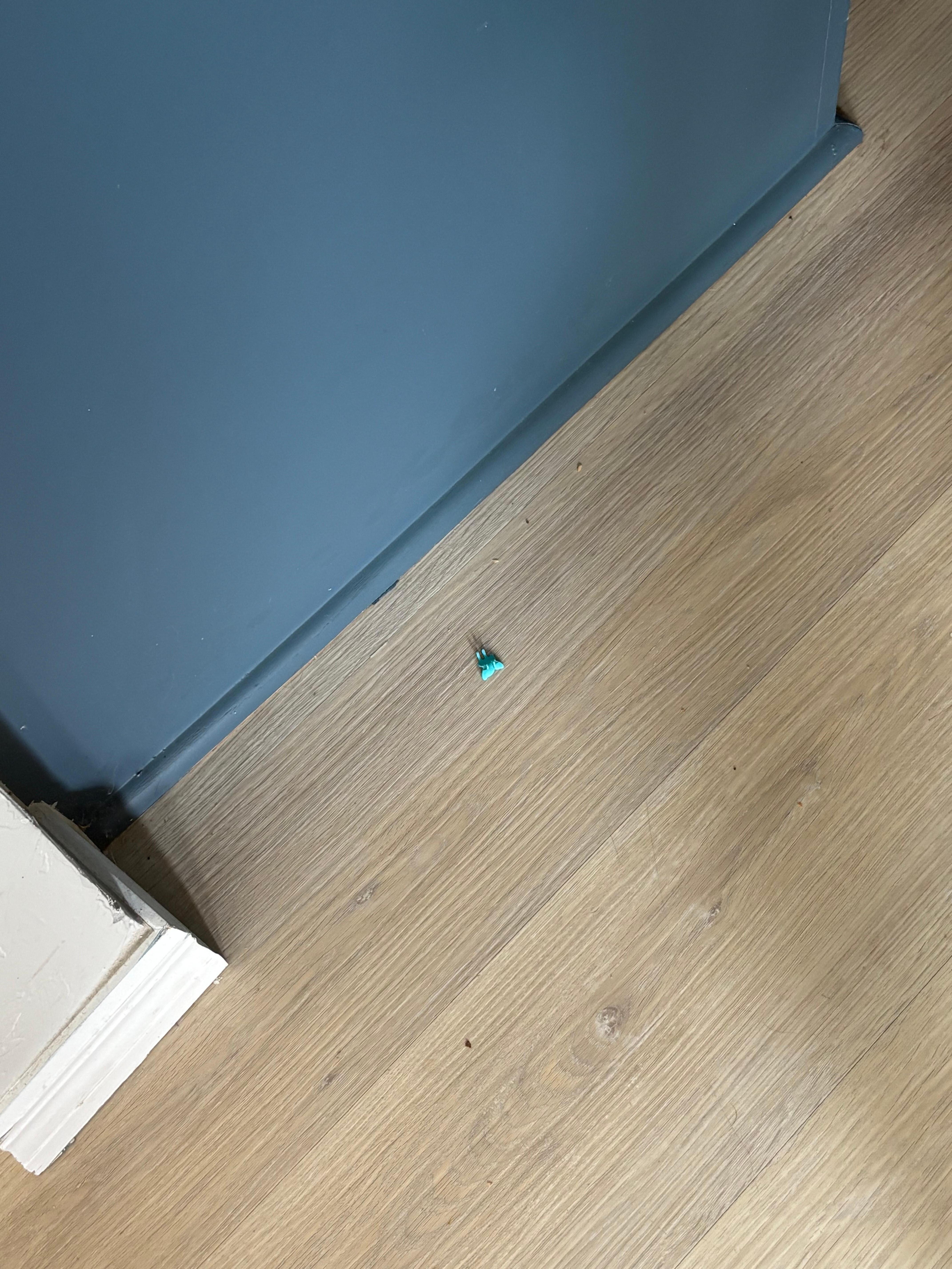 More things on the floor at arrival