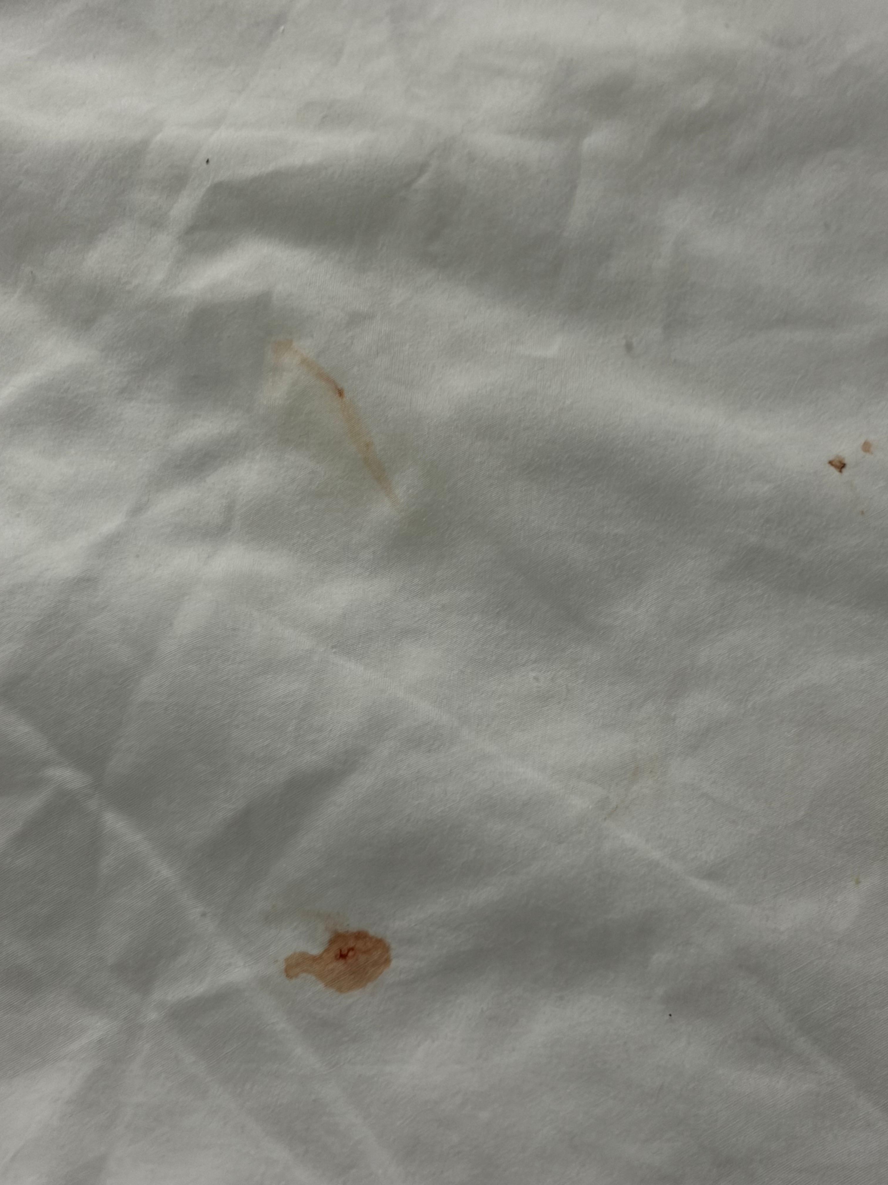 Room 120 blood stains on the right side bed, hidden under the 4 pillows. 