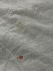 Room 120 blood stains on the right side bed, hidden under the 4 pillows.