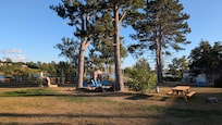 The Pines Motel & Cottages.