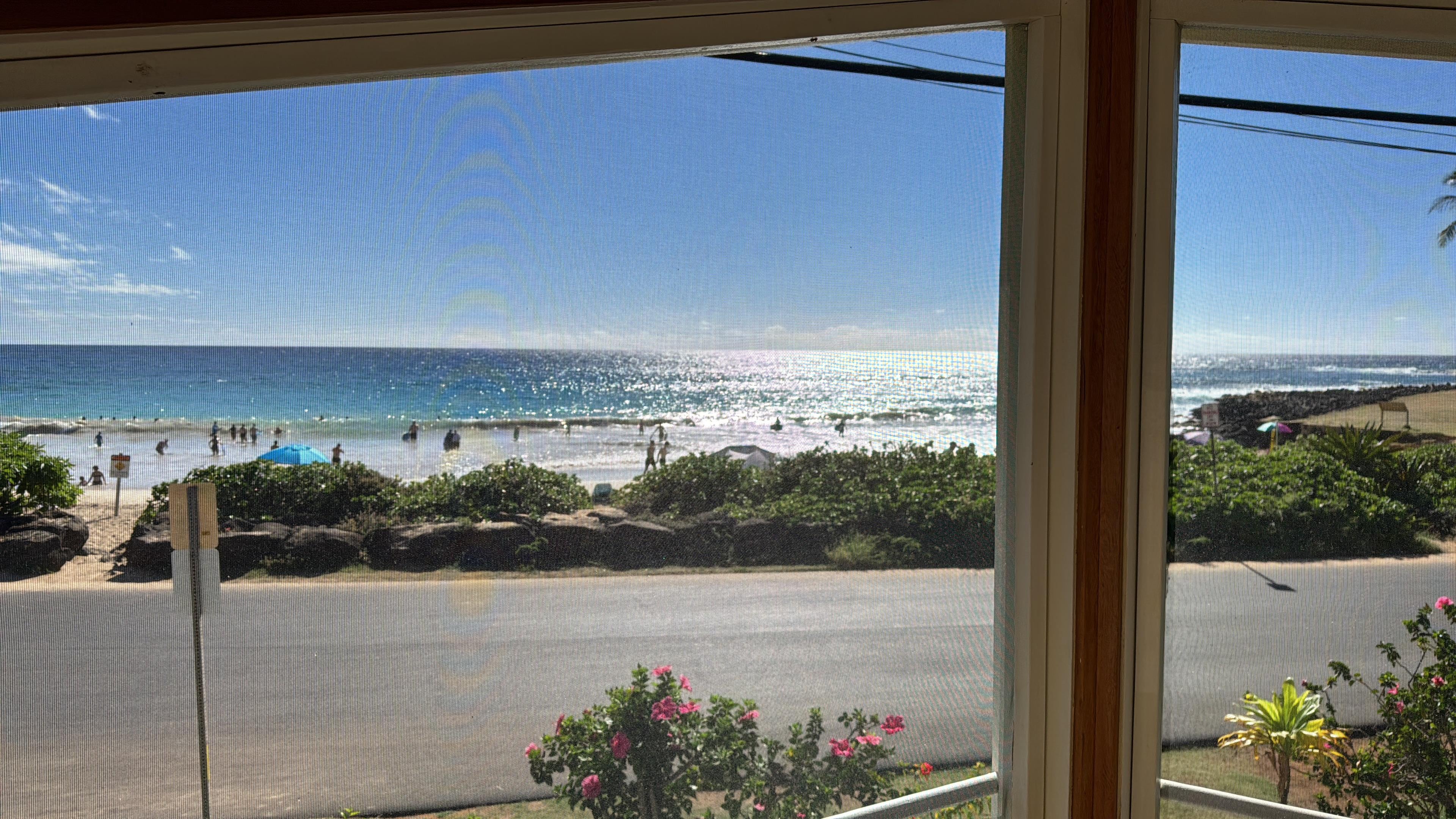 The view from the screened front porch