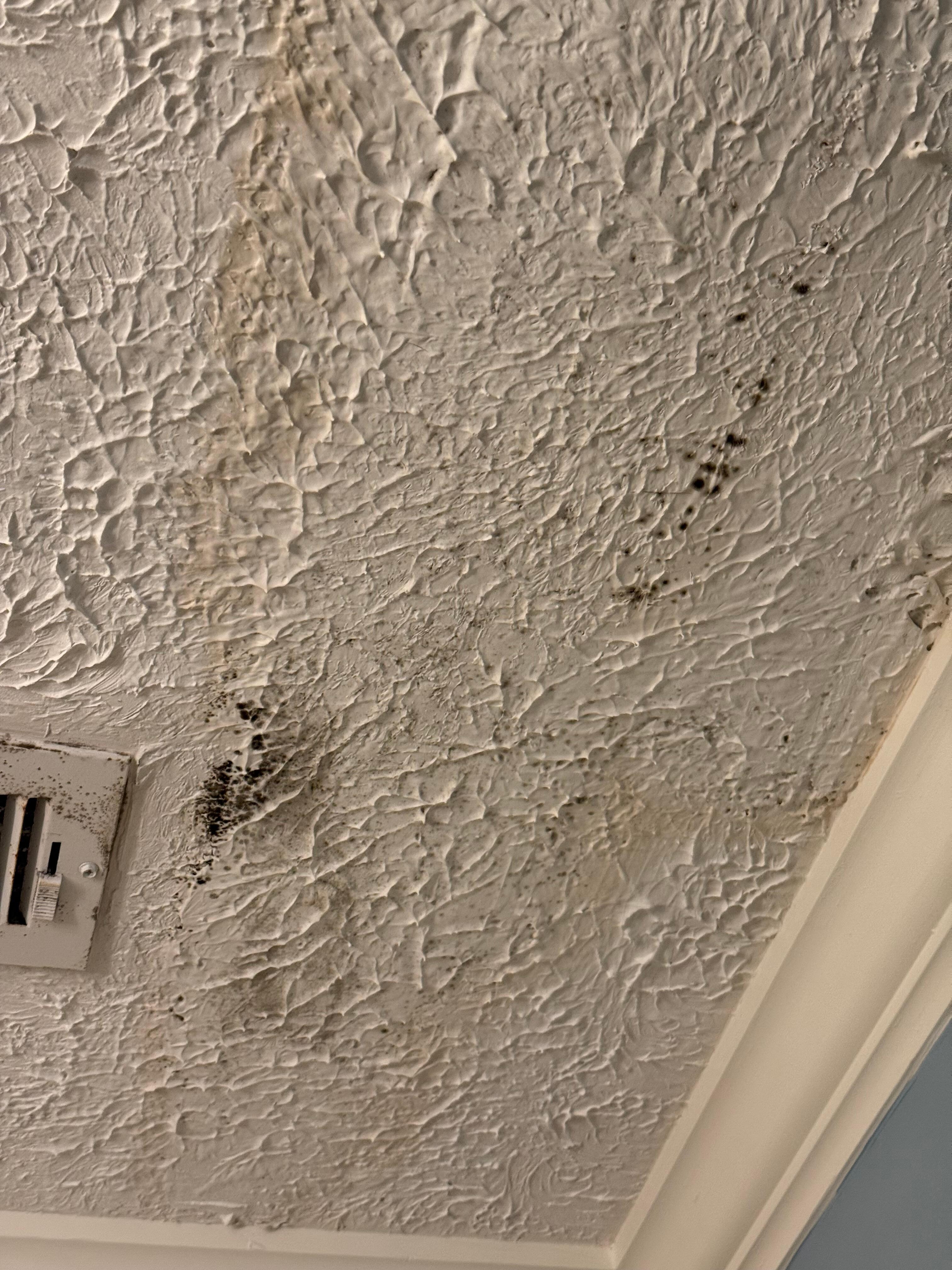 Ceiling mold 