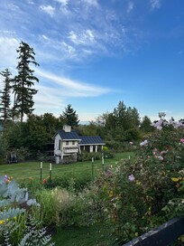 Prettiest chicken coop ever.