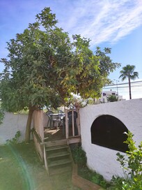 Huoneiston oma puutarha