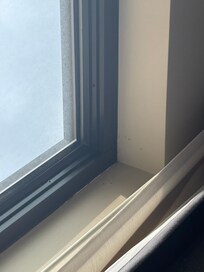 Mold on the ceiling of the room