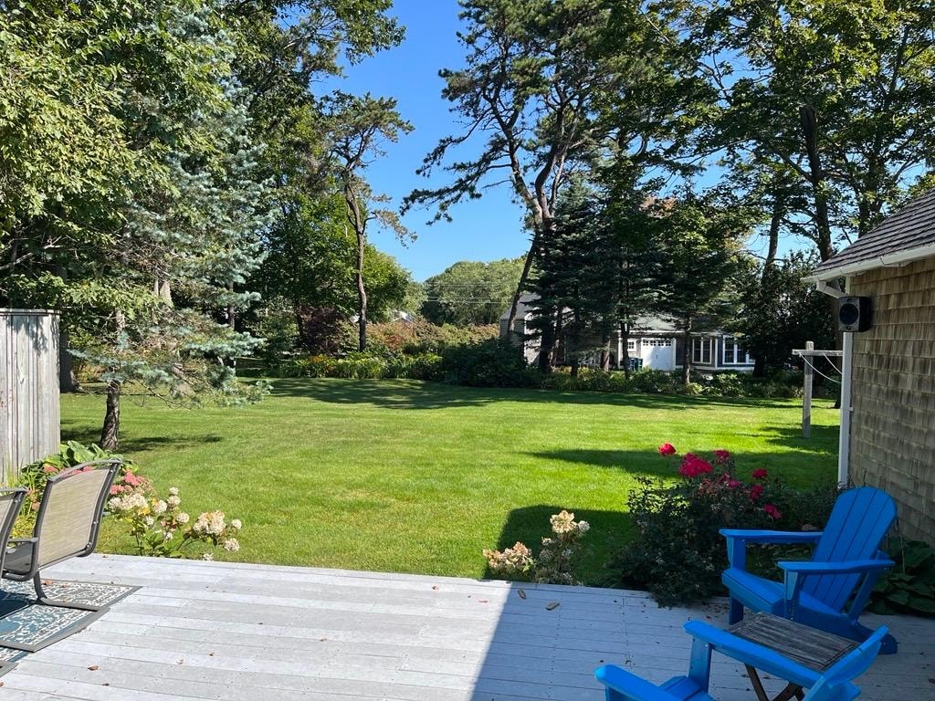 View out into backyard