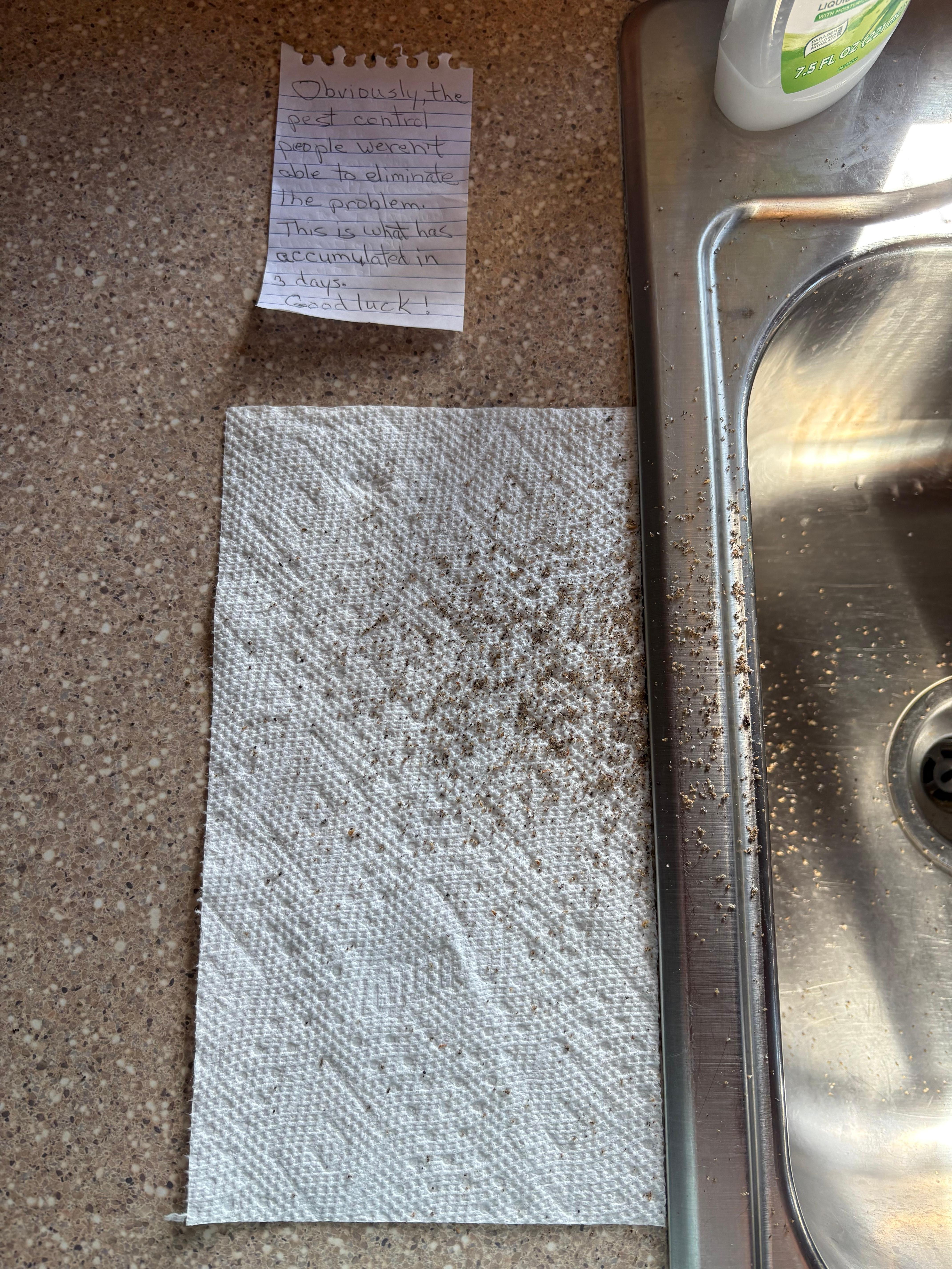 This is just some of the droppings I had to continually clean up from the insect infestation which pest control was unable to resolve.