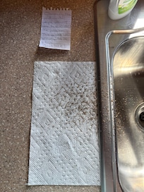 This is just some of the droppings I had to continually clean up from the insect infestation which pest control was unable to resolve.