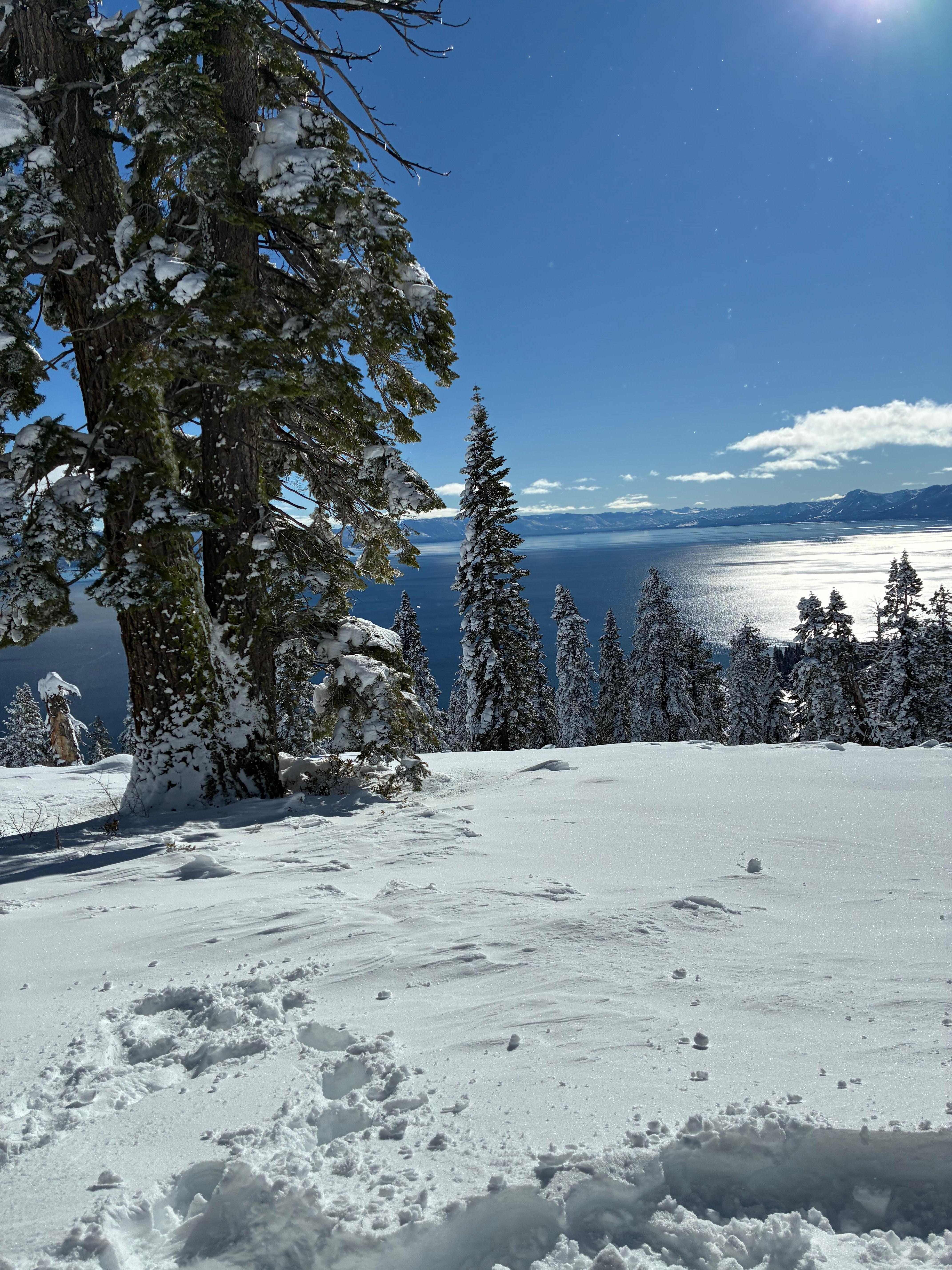 Hike up behind the retreat for a gorgeous view! 