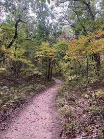 Trail 9 at Indiana Dune State Park