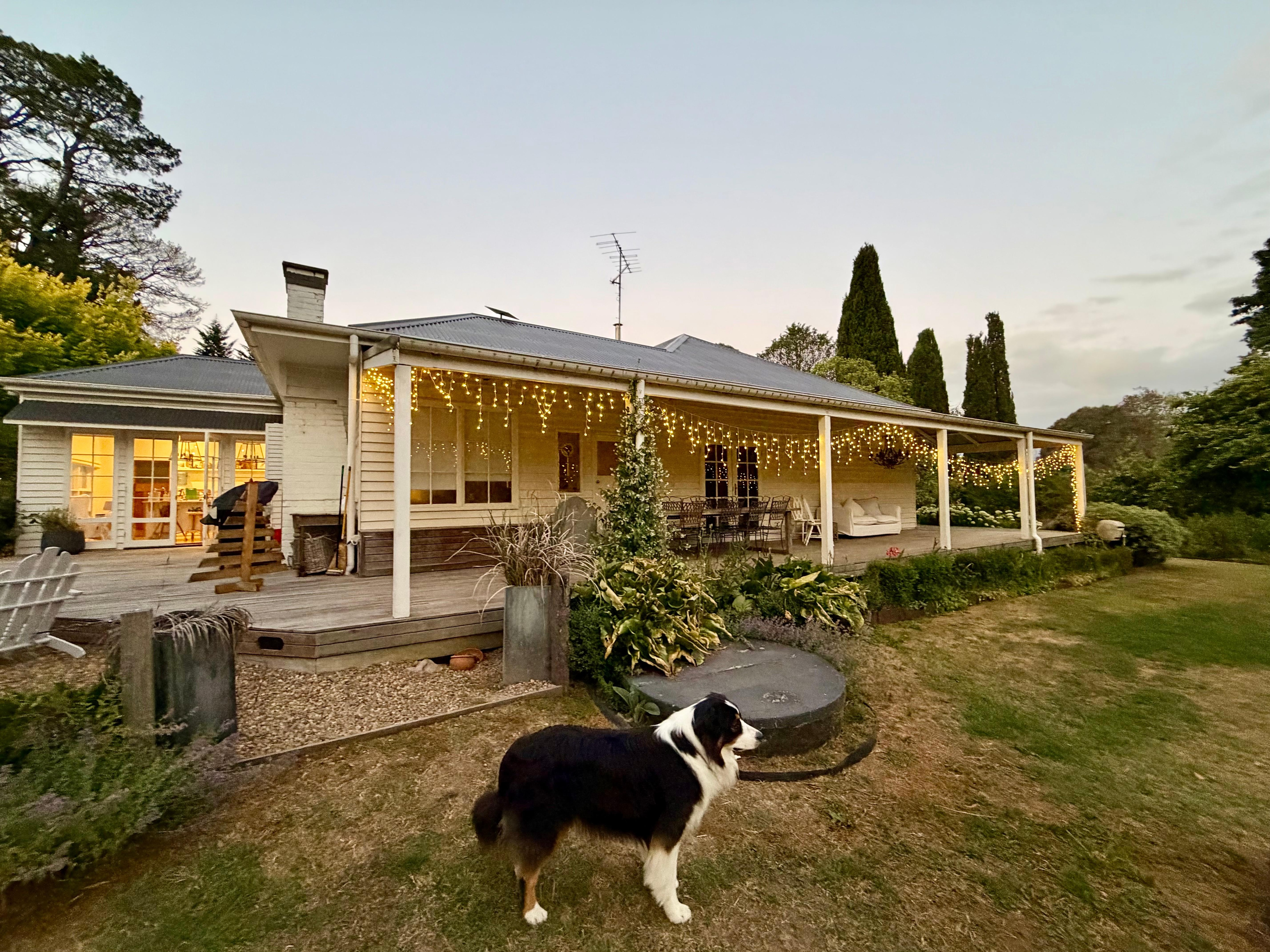 So amazing to arrive to Christmas lights 