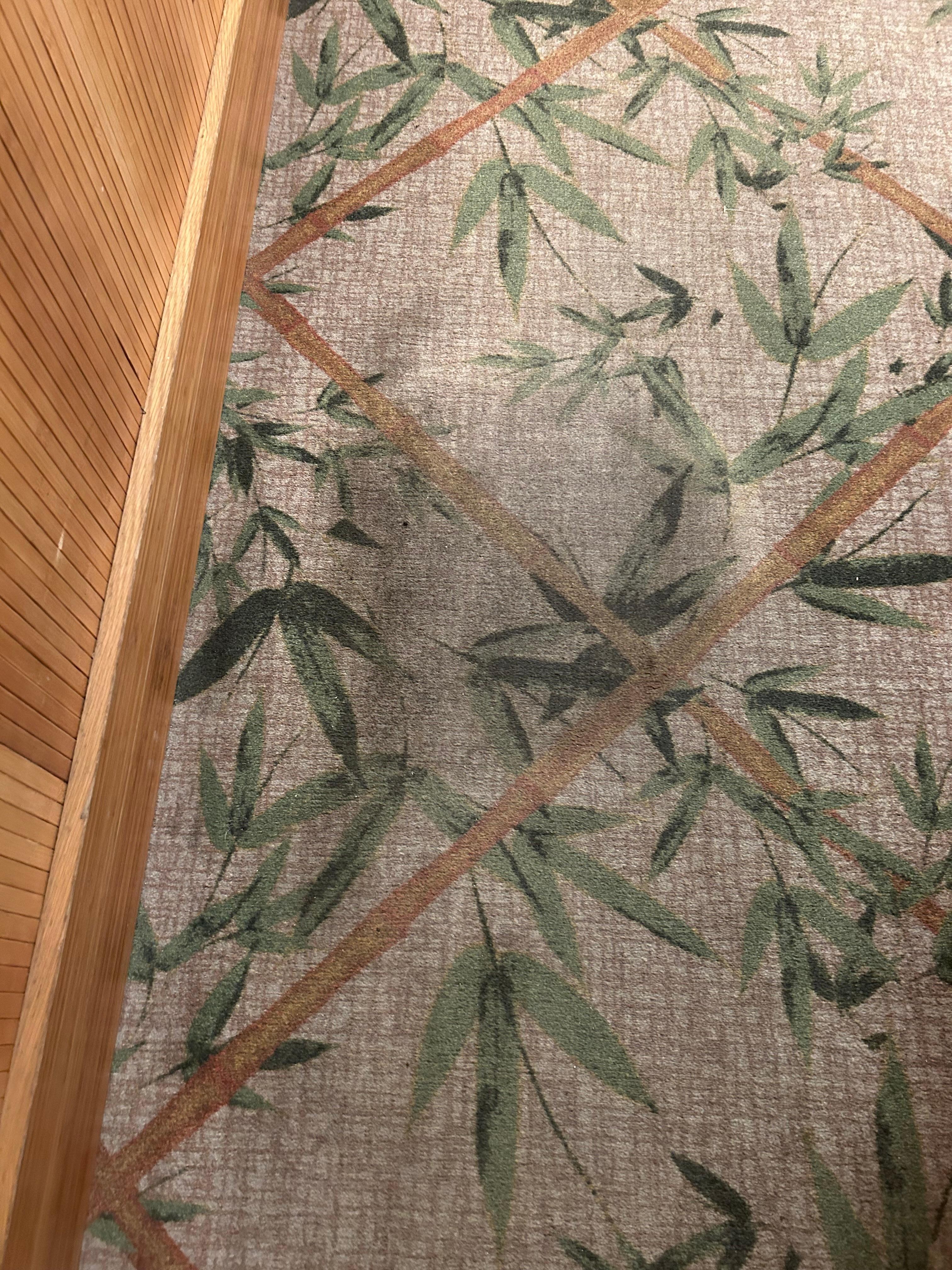 Carpet leading into the the room.  The carpet on the entire floor was dirty or stained.
