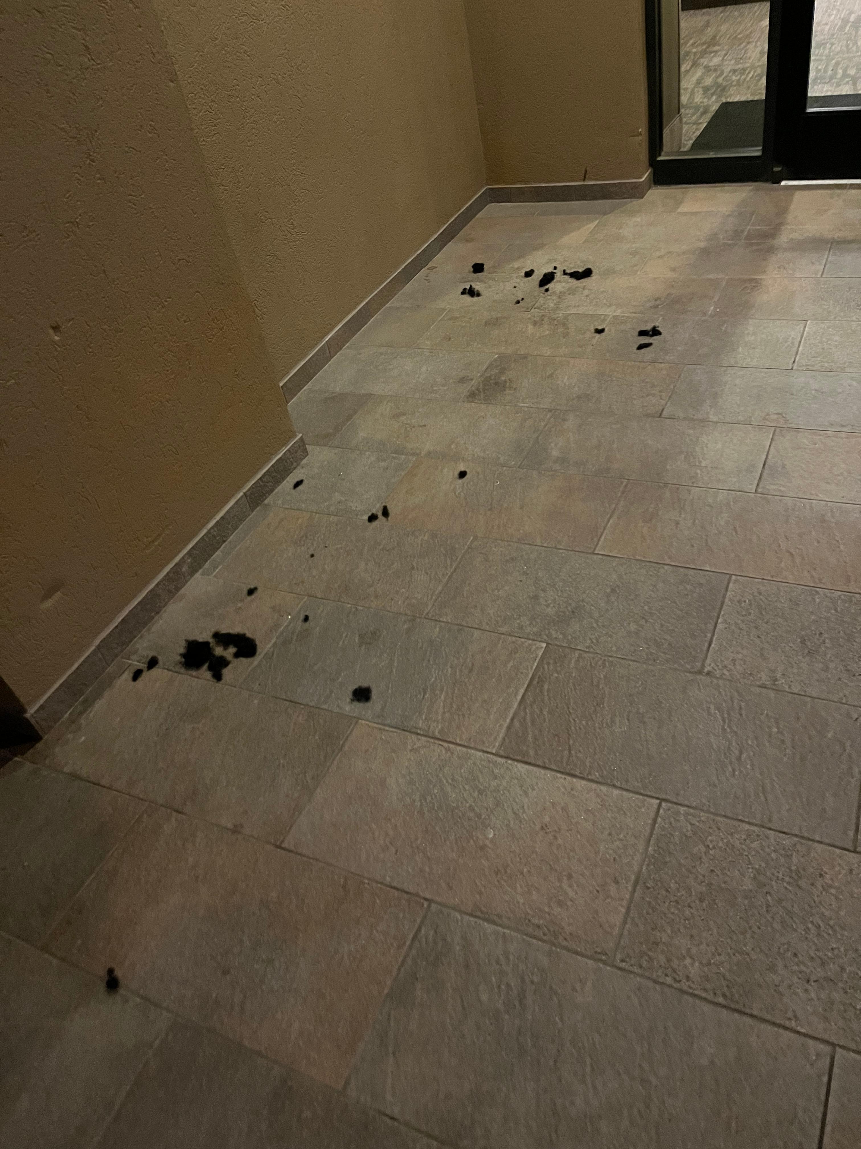 I guess someone needed a hair cut right outside the entrance? It was still there the next day.