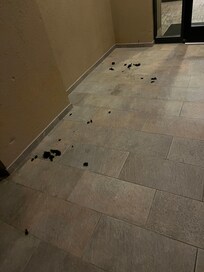 I guess someone needed a hair cut right outside the entrance? It was still there the next day.