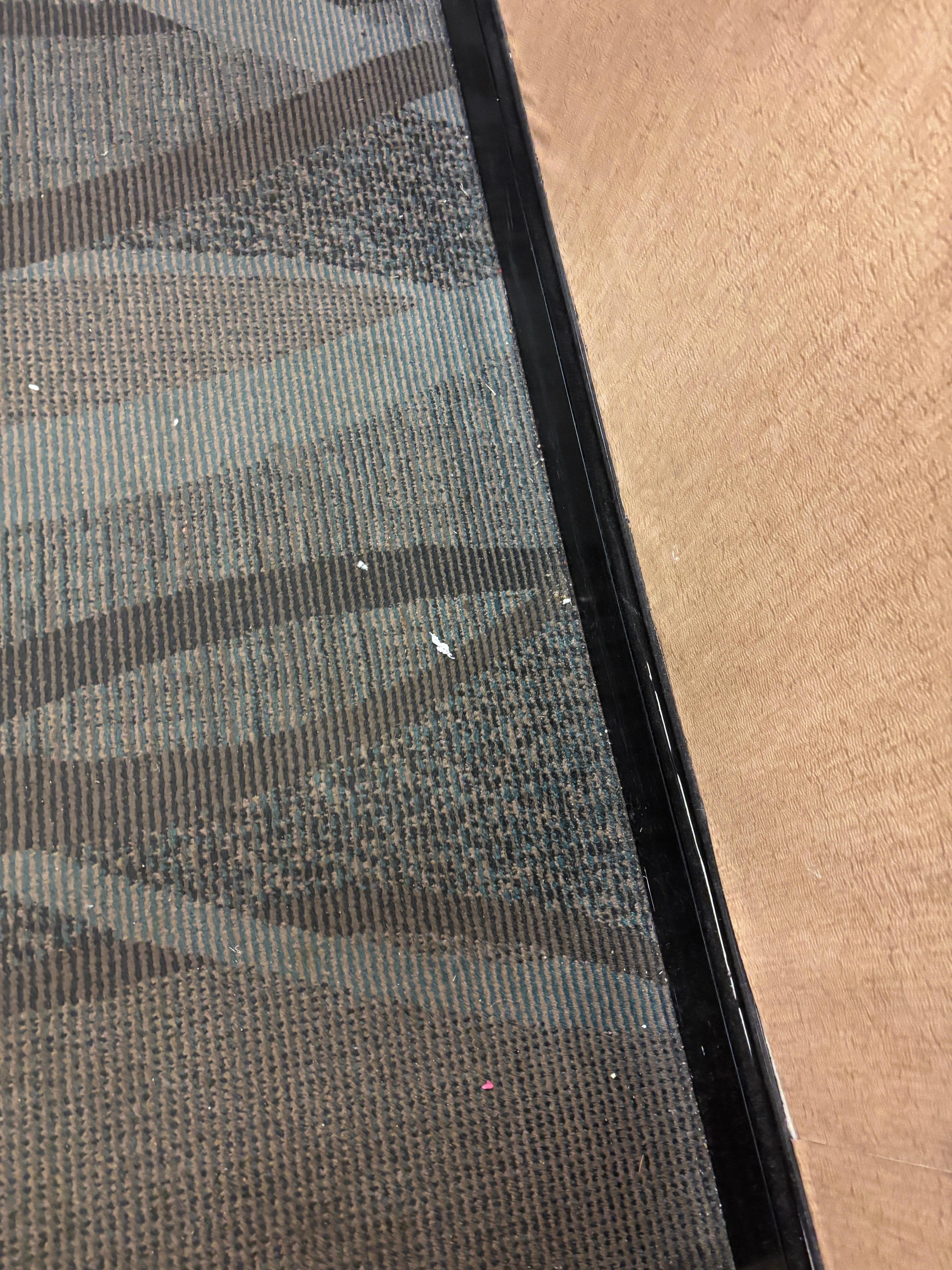 Both the hallway and room carpets were just as dirty. 