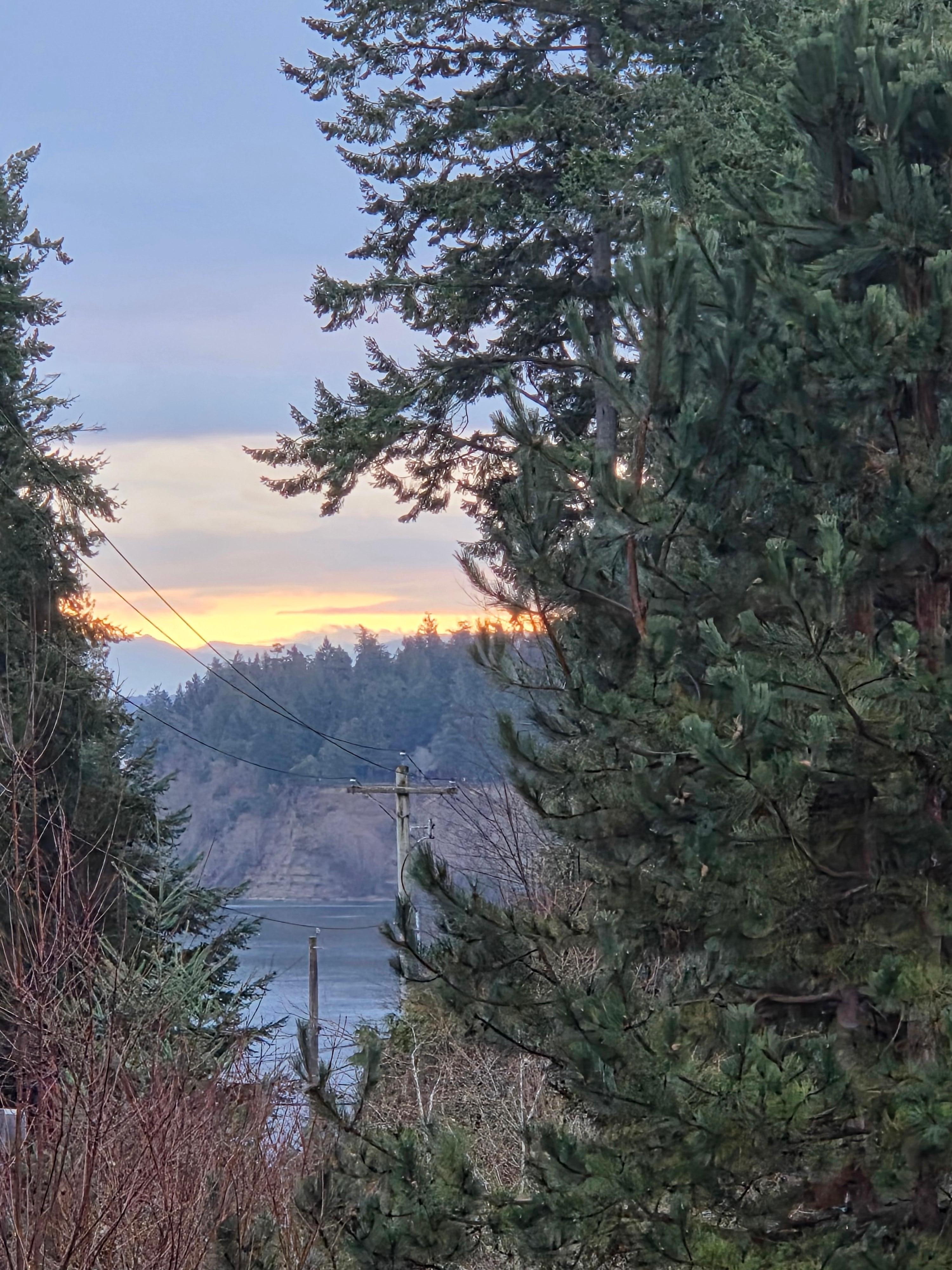 View from the patio! A great place for morning coffee.