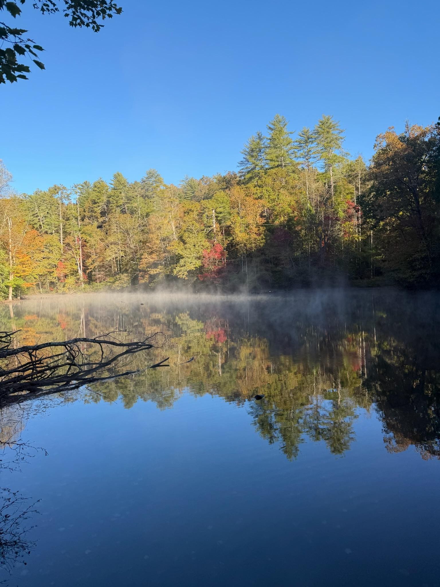 The serenity of the lake