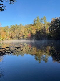 The serenity of the lake