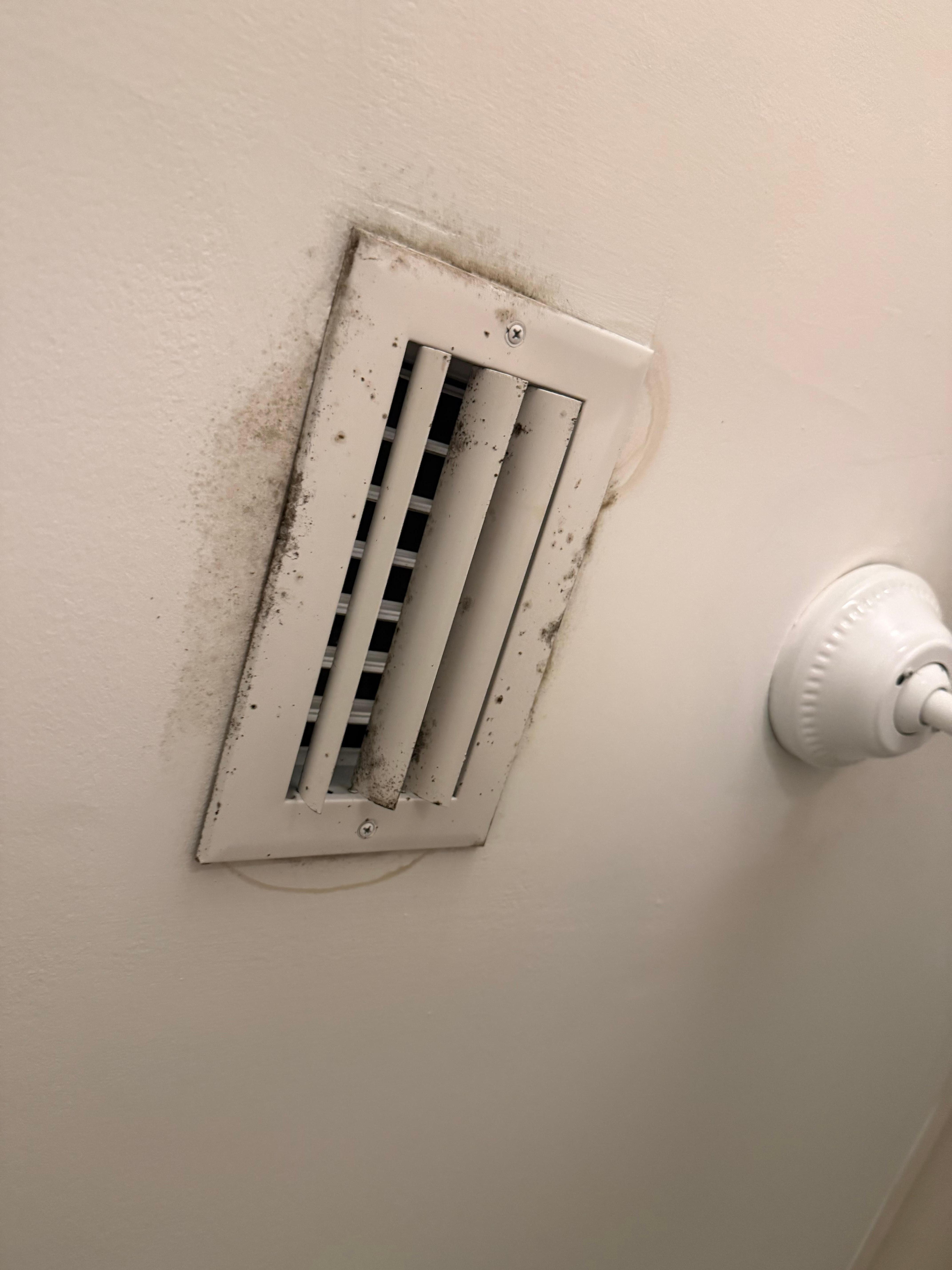 Mold on vents