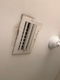 Mold on vents