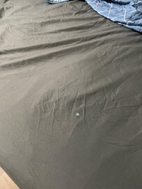 Dirt sheets