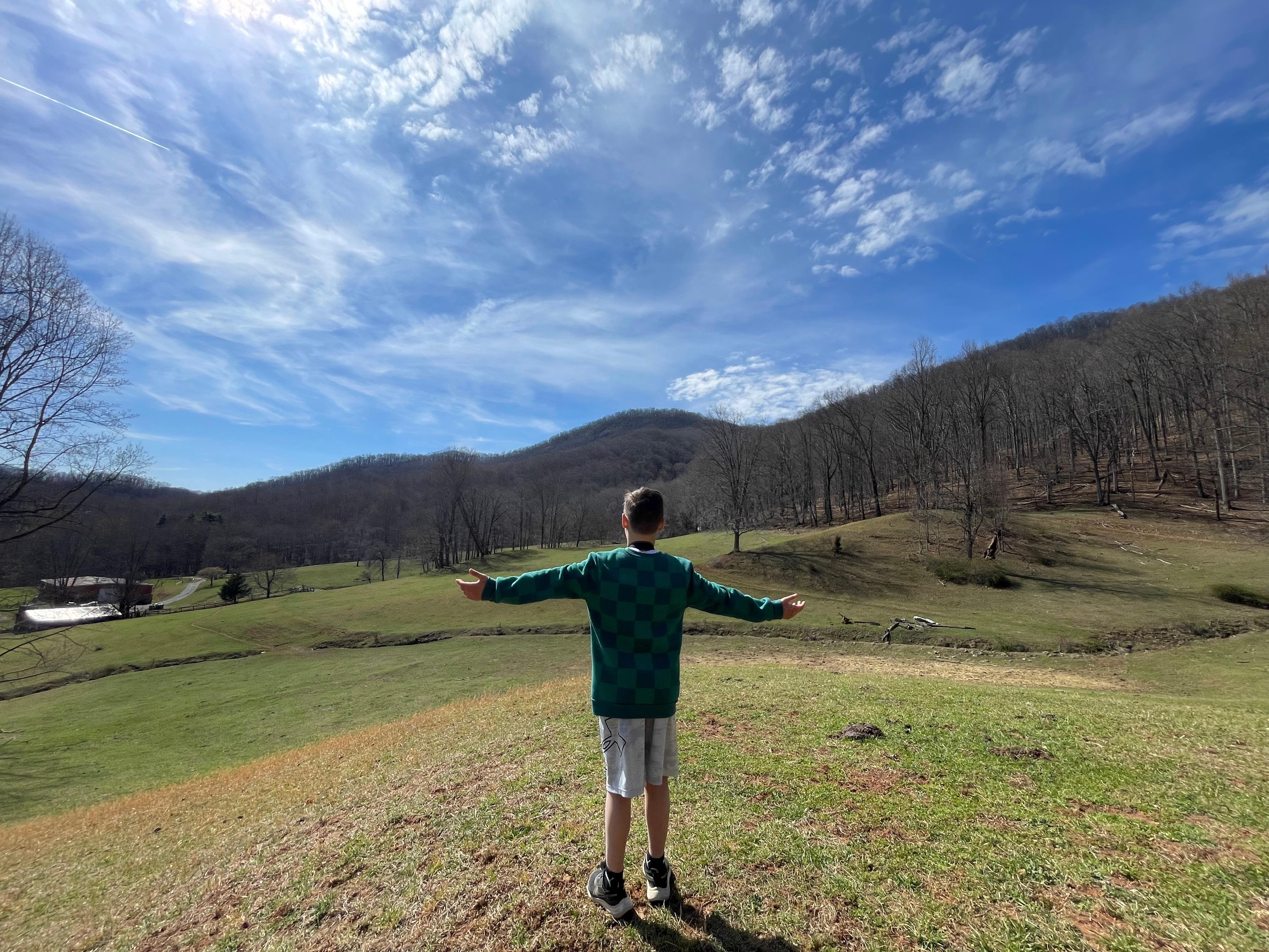 View from East side of property coming back from gazebo.