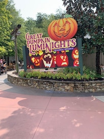 Dollywood