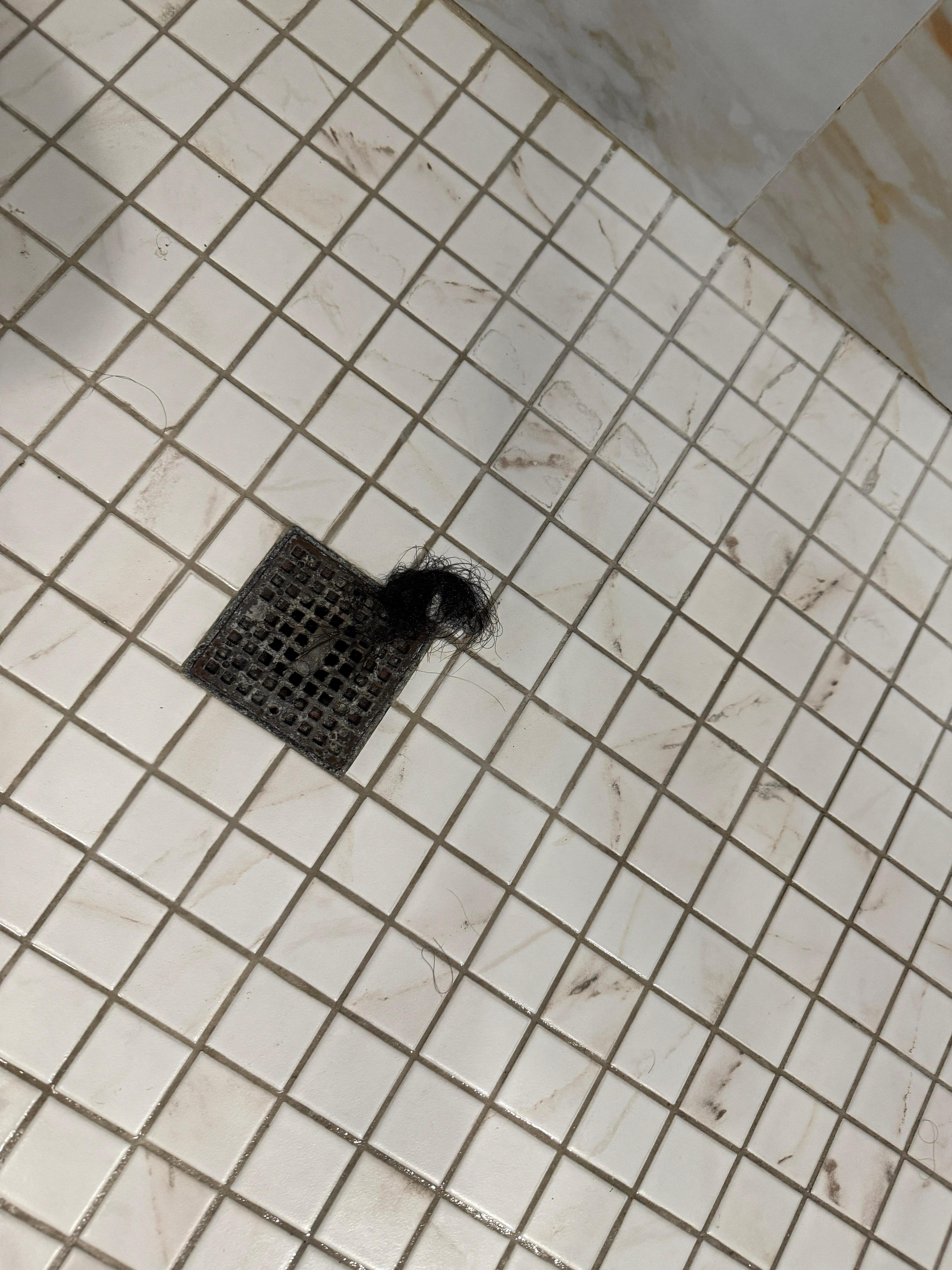 Hair found in drain of primary shower that’s not mine