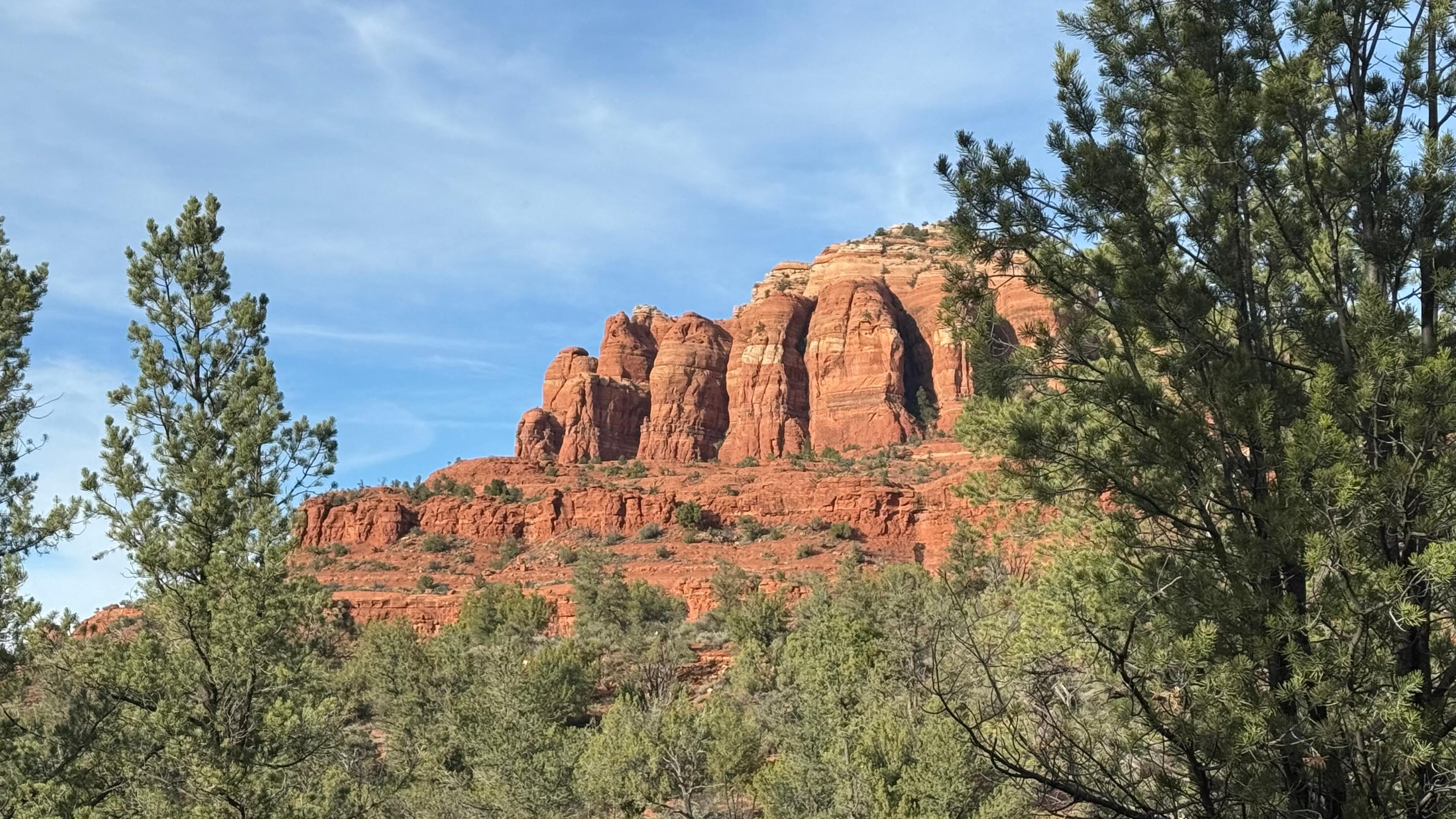 View in the backyard.